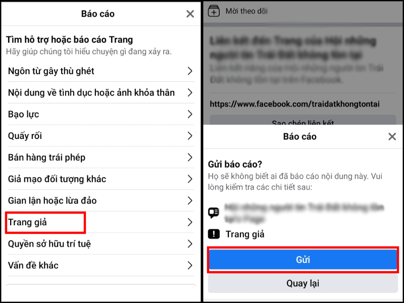 Chọn Trang giả để báo cáo tài khoản